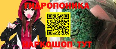крисы Жуковский