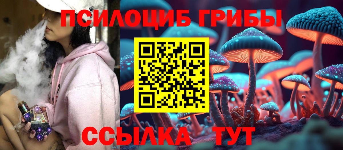Галлюциногенные грибы MAGIC MUSHROOMS  Псилоцибиновые грибы MAGIC MUSHROOMS  Набережные Челны  Вход с VPN 